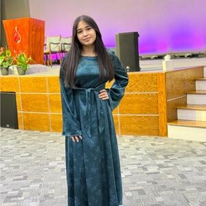 Elegant Teal Long Sleeve Dress